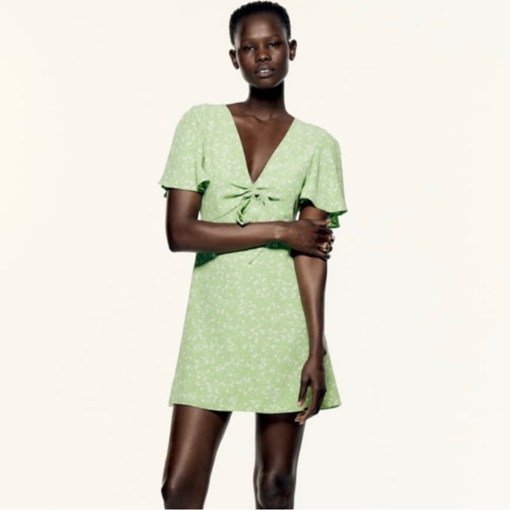 Zara dress